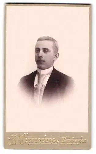 Fotografie H. Westerberg, Katrineholm, Elegantes Porträt eines jungen Mannes