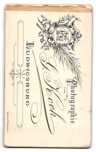 Fotografie G. Koch, Ludwigsburg, Stuttgarterstrasse 2, Damenporträt im gestreiften Kleid