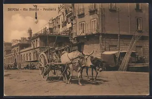 AK Napoli, Via Marina & Pescheria