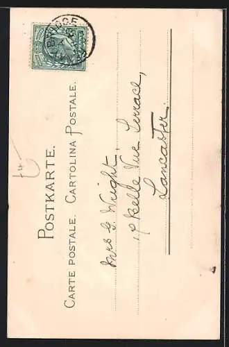 Lithographie Genua, Panorama prego dal Passanuovo, Strada sotto il ponte di Carignano