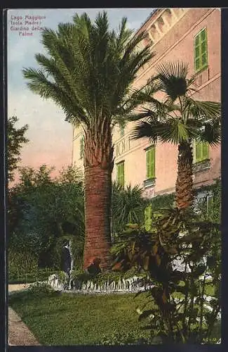 AK Isola Madre /Lago Maggiore, Giardino delle Palme