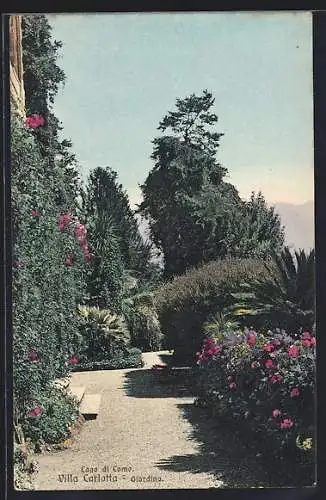 AK Tremezzo, Villa Carlotta /Lago di Como, Giardina