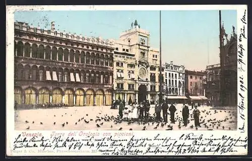 AK Venezia, Torre dell` Orologio con piccioni