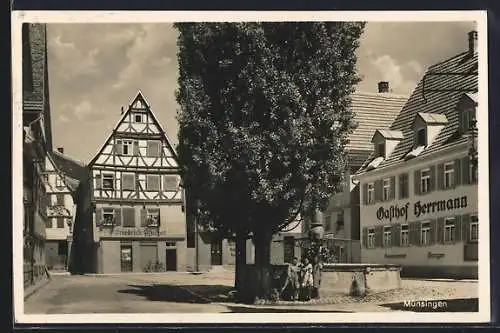 AK Münsingen, Ortspartie mit Gasthof Hermann, Geschäft von Friedrich Pflüger und Brunnen