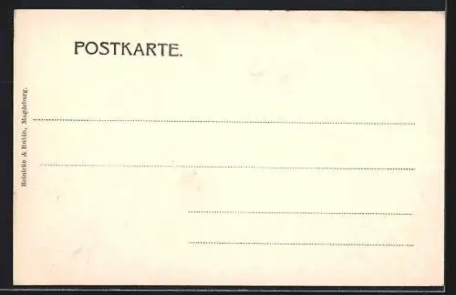 AK Cleve, Wohnhäuser in der Tiergarten-Strasse