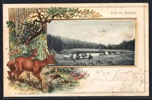 Passepartout-Lithographie Hahnenklee, Teich bei Auerhahn, Passepartout mit Rehen