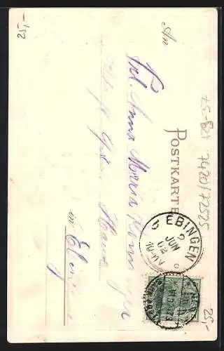 Passepartout-Lithographie Münsingen, Ortsansicht aus der Vogelschau, Wappen