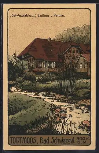 Steindruck-AK Todtmoos, Gasthaus & Pension Schwarzwaldhaus mit Bachpartie