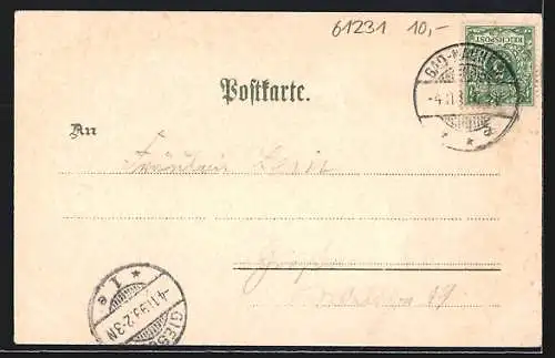 Lithographie Bad Nauheim, Gesamtansicht & Springbrunnen