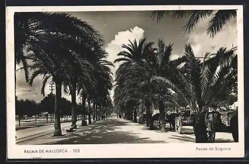 AK Palma de Mallorca, Paseo de Sagrera