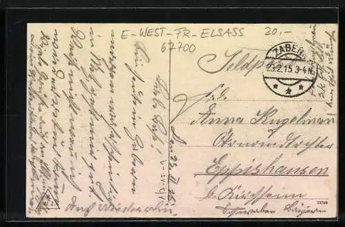 AK Zabern, Strassenpartie mit Buchdruckerei in der Vorstadt, Ochsengespann