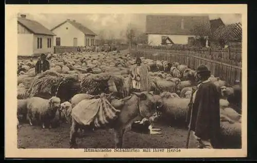 AK Rumänische Schafhirten mit ihrer Herde