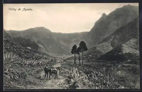 AK Agaete /Gran Canaria, Valley de Agaete, Panorama und Bauer mit Esel
