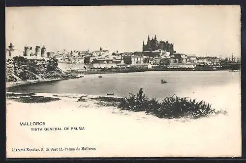 AK Mallorca, Vista general de Palma