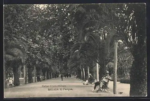 AK Málaga, El Parque