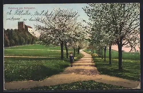 AK Habsburg, Burg von Südwesten