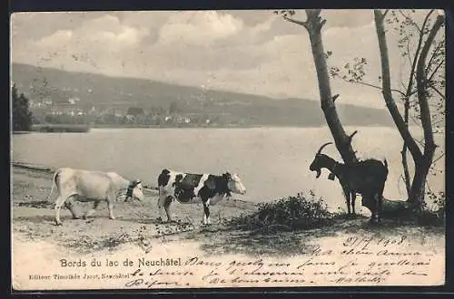 AK Neuchâtel, Bords du lac