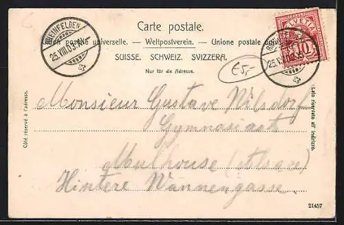 AK Rheinfelden, Teilansicht mit Brücke