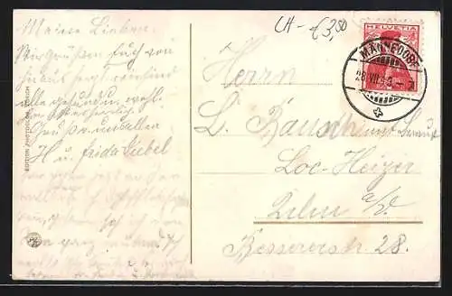 AK Männedorf, Teilansicht mit Dampfer Stadt Zürich