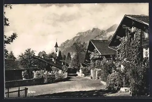 AK Brienz /BE, Strassenpartie mit Bergen