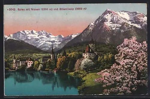 AK Spiez, Uferpartie mit Niesen und Blüemlisalp