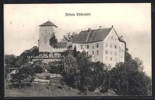 AK Wildenstein, Schloss Wildenstein
