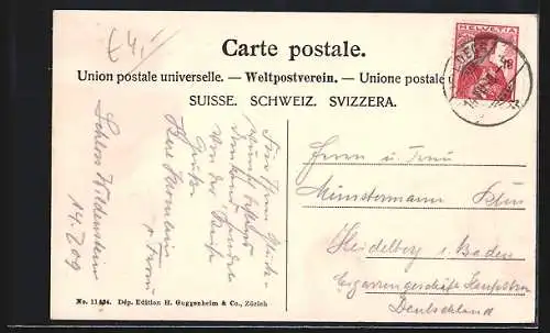 AK Wildenstein, Schloss Wildenstein