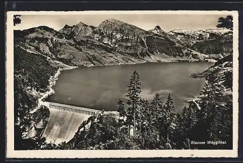 AK Wäggithal, Stausee
