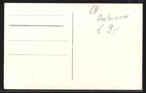 AK Stein a. Rh., Teilansicht mit Brücken