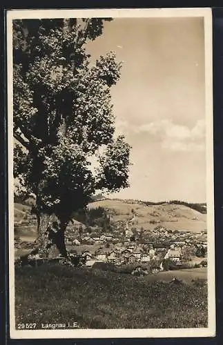 AK Langnau i. E., Gesamtansicht von einer Wiese aus