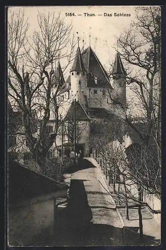 AK Thun, Schloss mit Strasse