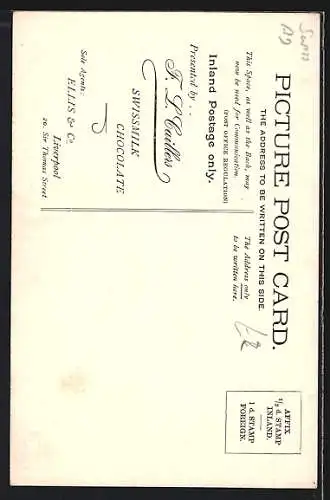 AK Interlaken, Castle Weissenau