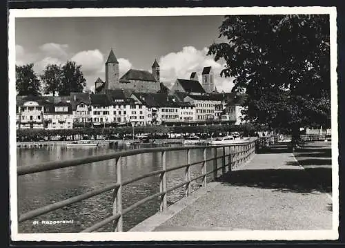 AK Rapperswil, Ortspanorama mit Schloss von der Uferpromenade aus