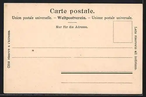 AK Schaffhausen, Totalansicht mit Rhein