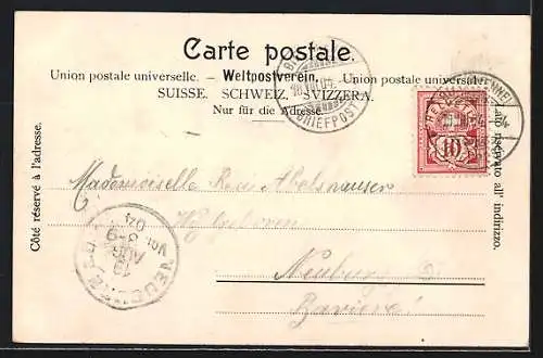 AK Bienne, Pavillon Felseck und Ortsansicht