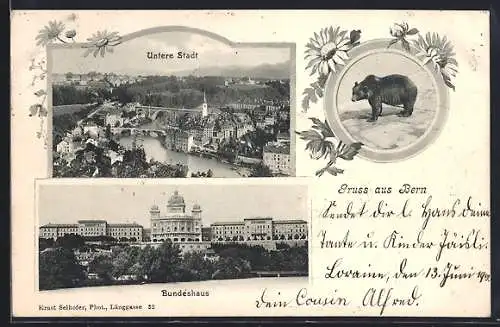 AK Bern, Untere Stadt, Bundeshaus, Bär