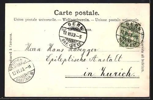 AK Bern, Untere Stadt, Bundeshaus, Bär