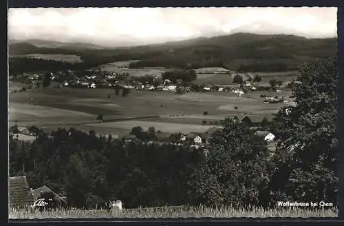 AK Waffenbrunn bei Cham, Blick auf den Ort