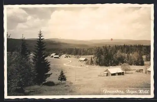 AK Frauenberg /Bayer. Wald, Ortsansicht mit Nadelwald