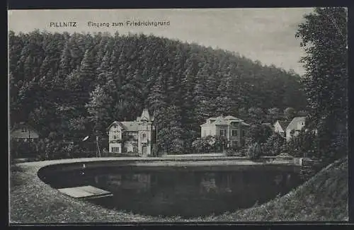 AK Dresden-Pillnitz, Eingang zum Friedrichsgrund