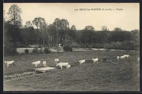 AK Grisy-les-Plâtres, Prairie avec troupeau de vaches paissant paisiblement