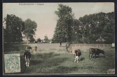 AK Valmondois, Prairie avec vaches et paysage rural