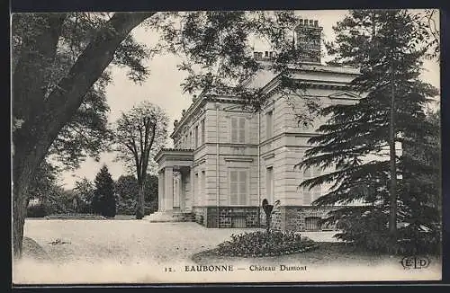 AK Eaubonne, Château Dumont