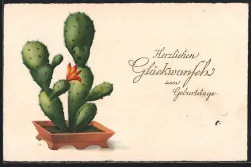 Künstler-AK Kaktus mit Gesicht, Glückwunsch zum Geburtstag