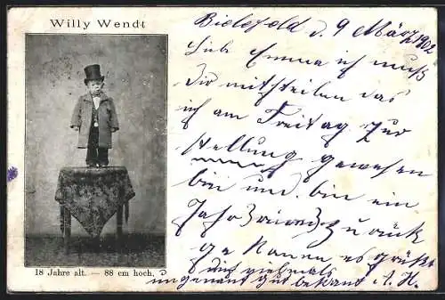 AK Willy Wendt auf einem Tisch, 18 Jahre alt, 88 cm gross