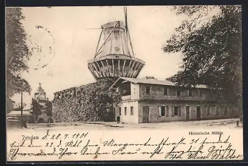 AK Potsdam, Historische Mühle mit Efeumauer