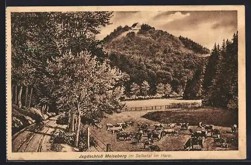 AK Selketal im Harz, Jagdschloss Meiseberg mit Kuhweide