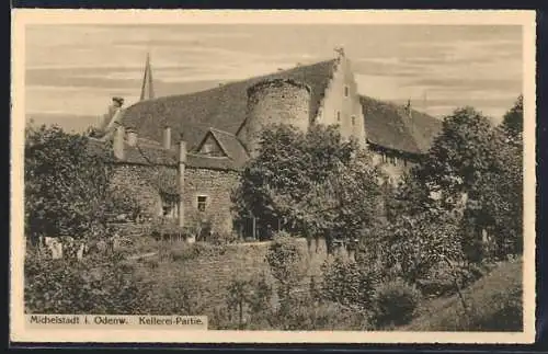 AK Michelstadt i. Odenw., Kellerei-Partie mit angrenzendem Garten