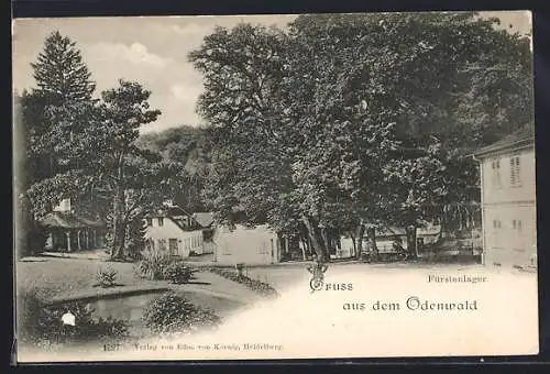 AK Auerbach /Odw., Ortspartie mit Fürstenlager und Teich