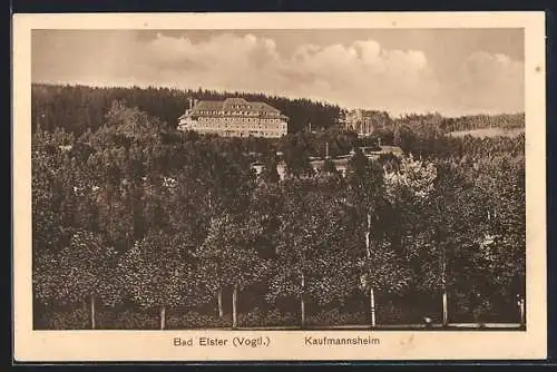 AK Bad Elster /Vogtl., Blick auf das Kaufmannsheim über Baumkronen